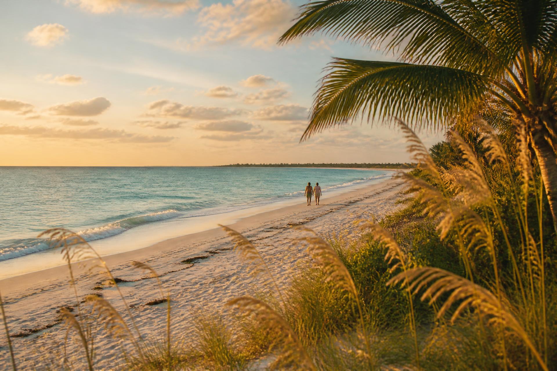 Sea oats and palms framing a quiet Gulf Coast shoreline at golden hour